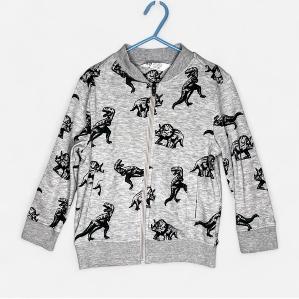 H&M Gray Dinosaur Print Kids Zip-Up Jacket